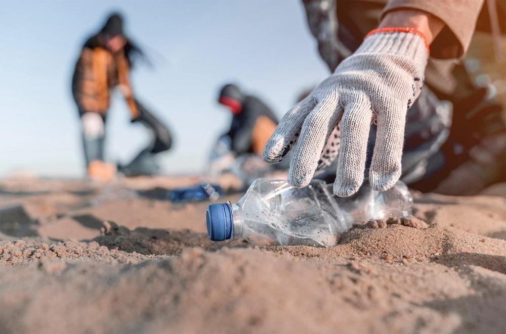 Adopt a Beach — activity photograph 2