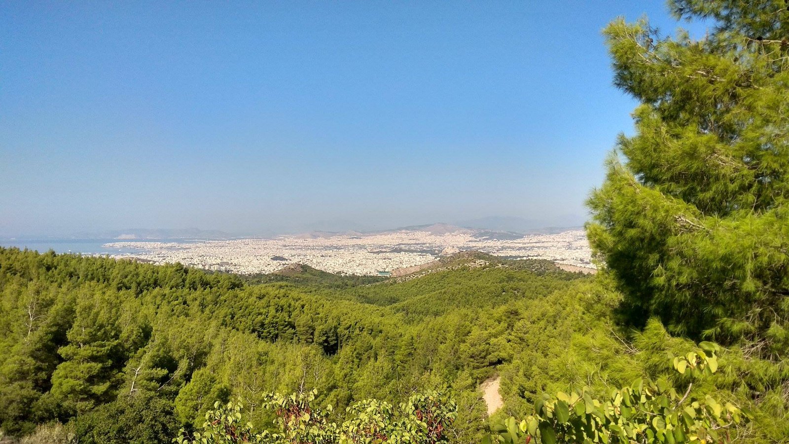 Forest and city views from Mount Hymettus