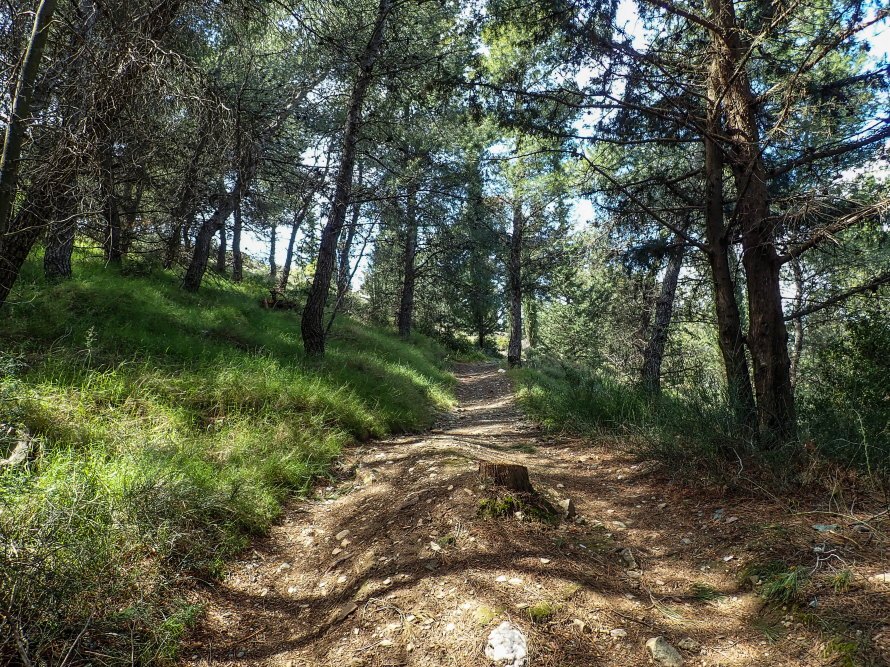 Byzantine Hiking — activity photograph 2