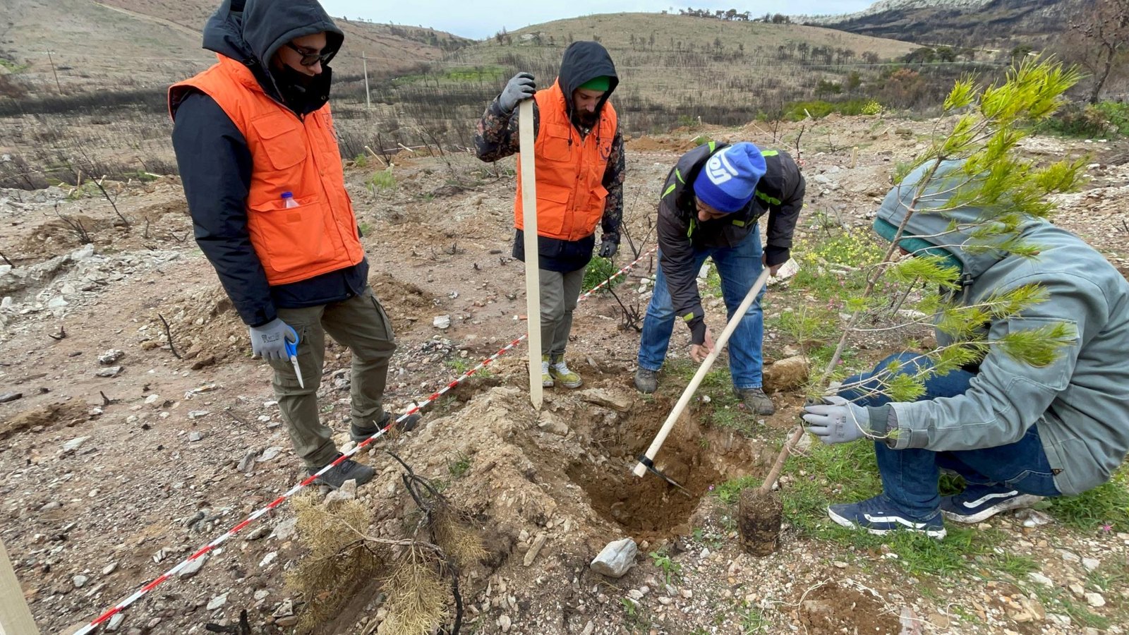 Participants planting saplings at an outdoor site