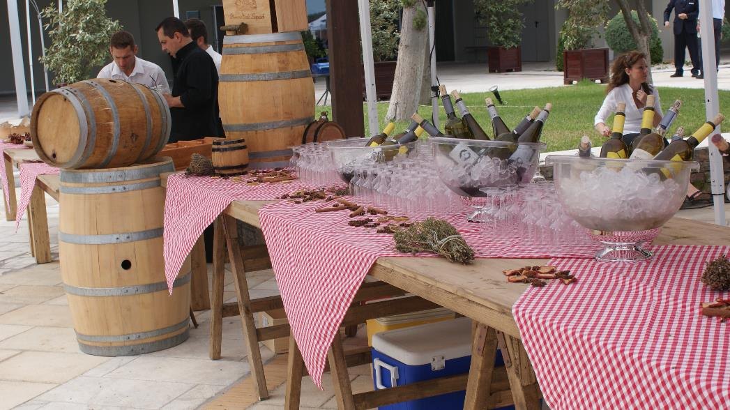 Wine Tasting — activity photograph 2